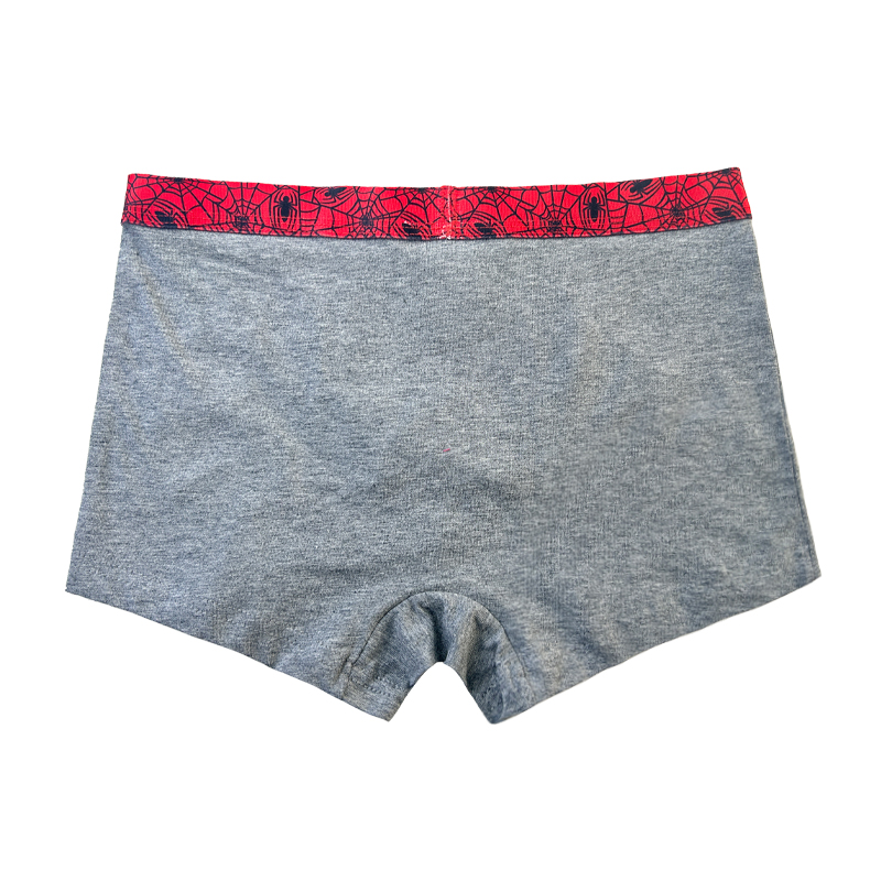 Boy Underpants Spiderman Stampa Contrasto di colore BABY Grey Underpants Comfort Basic