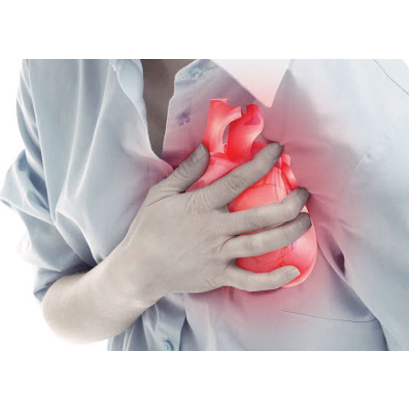 Nanjing Medical University: NMN migliora l\'infarto del miocardio