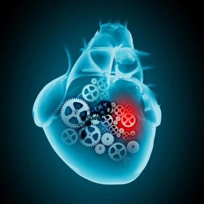 Progresso di ricerca di NAD+nel trattamento delle malattie cardiovascolari
