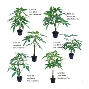 Albero della fortuna