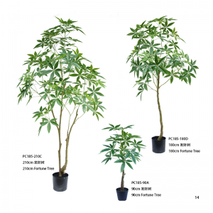 Albero della fortuna