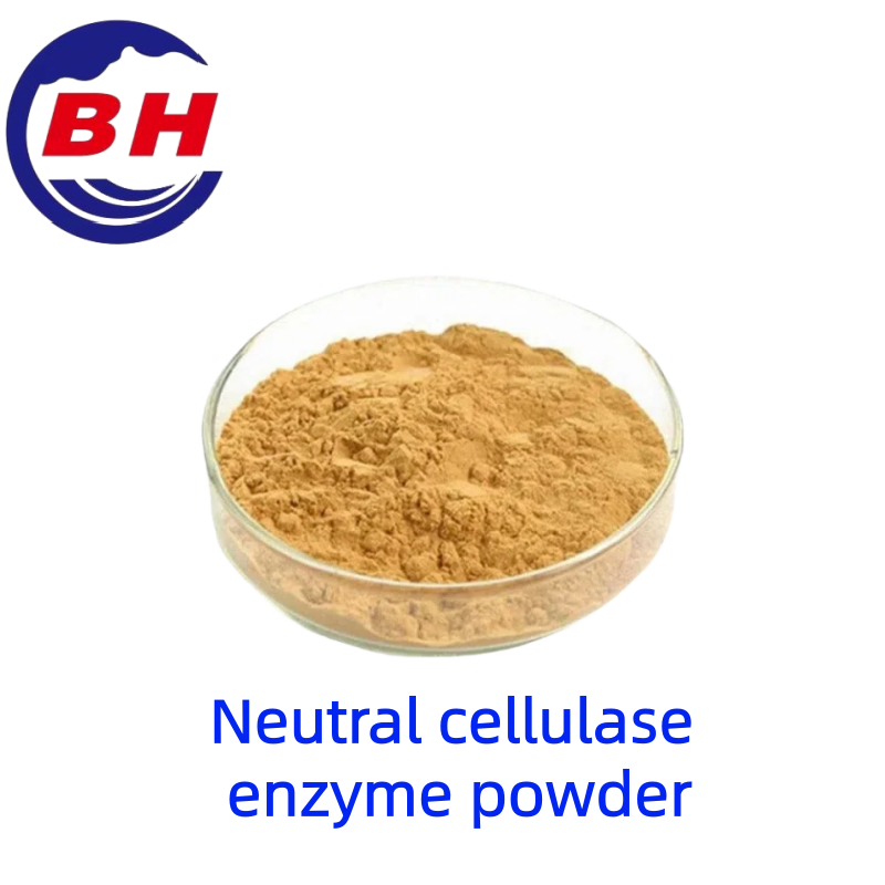Polvere enzimatica cellulasineutra H8810