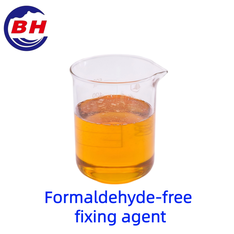 Formaldeide-fissativo libero H8704
