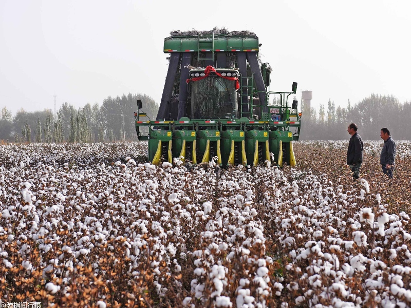 1628823385.jpg zmkm-800_600.jpg