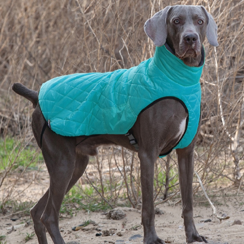 1647619763.jpg zmkm-800_800(2).jpg