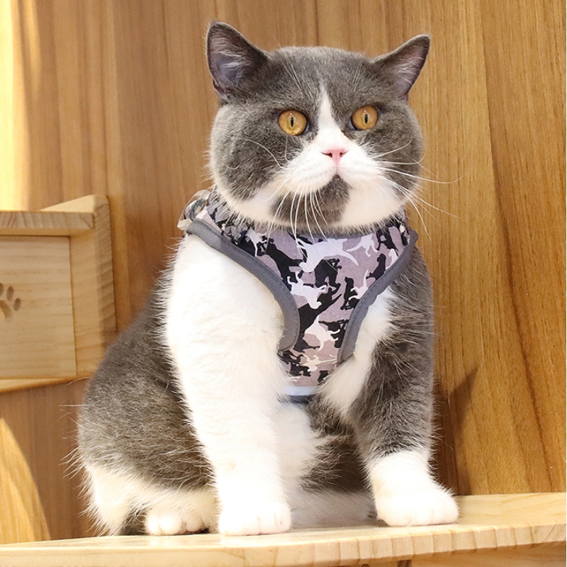 1647782318.jpg pet accessories.jpg