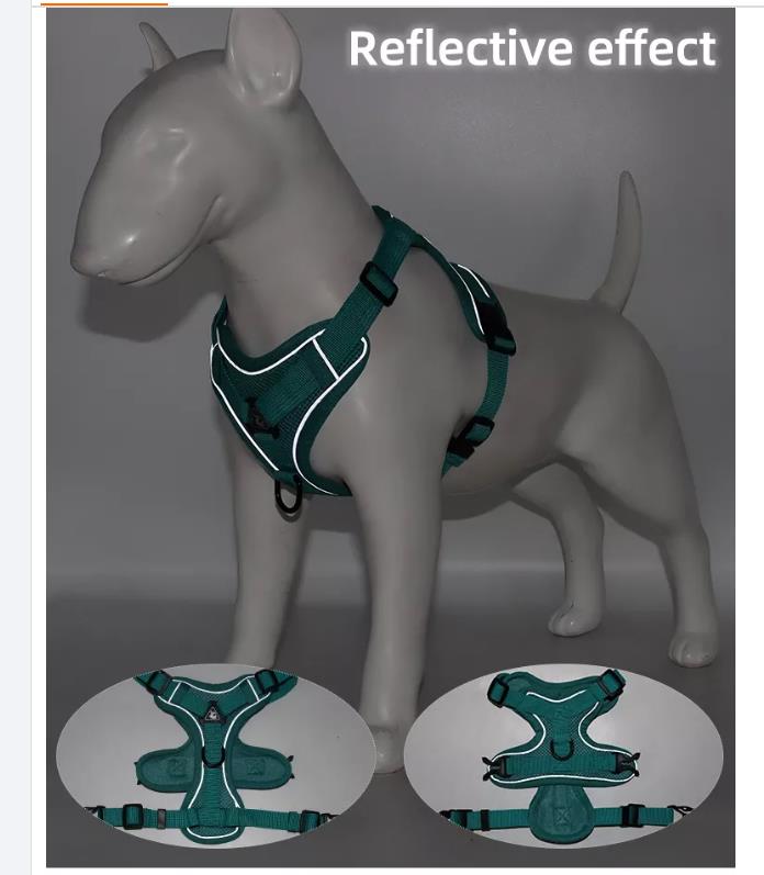 1647787837.jpg pet products.jpg