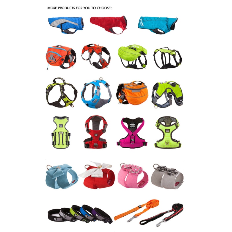 1647788608.jpg dog walking product pet accessories.jpg