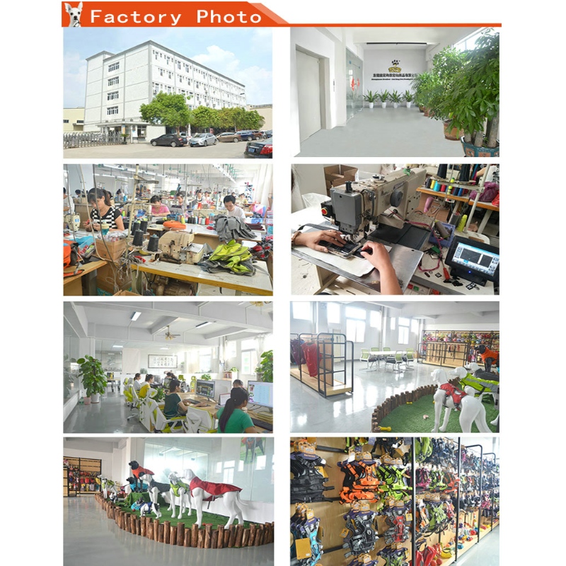 1647788624.jpg pet supplies wholesaler.jpg