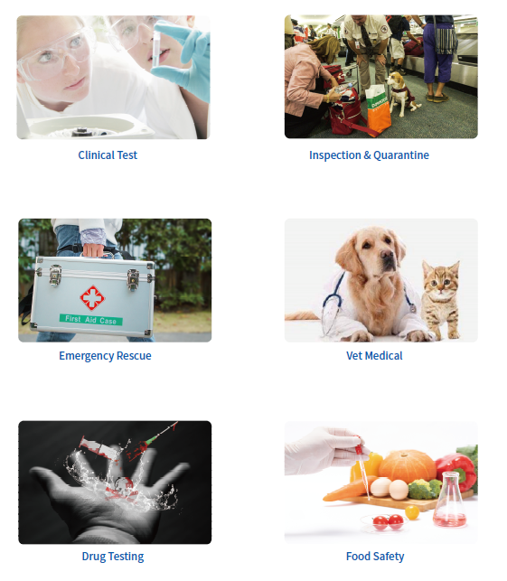 1620295886.png 未命名1620295870.png