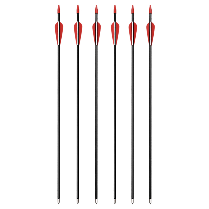 1629169572.jpg 2-3.jpg