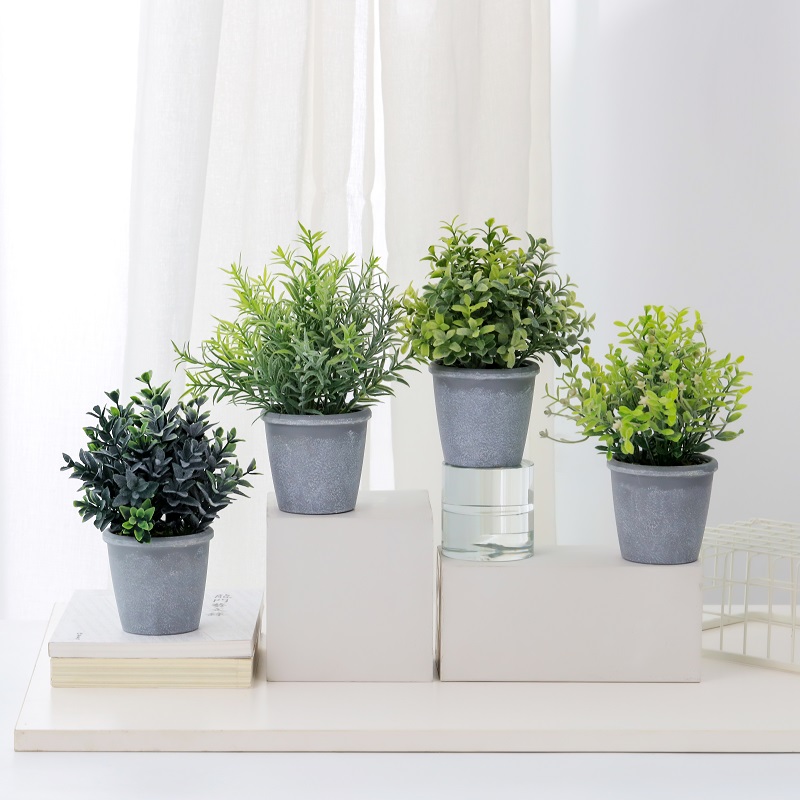 1638328104.jpg 2-.jpg