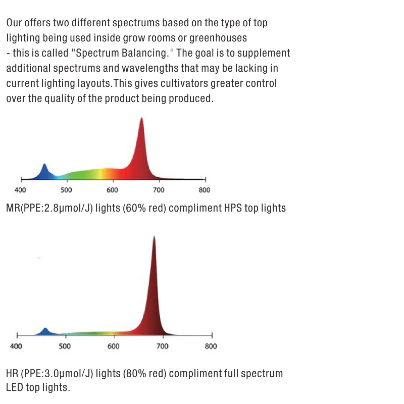 1703128173.jpg H1011 Under Canopy LED-4.jpg
