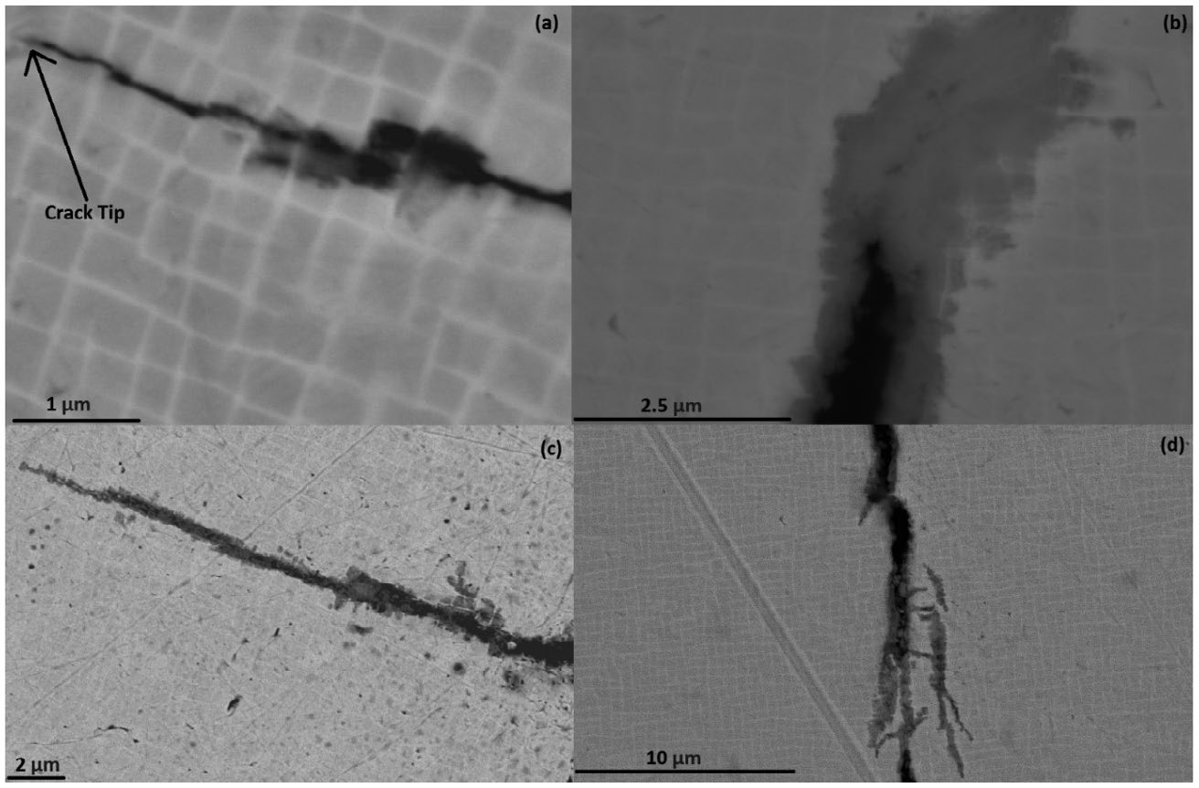 1630044362.png 图片12.png